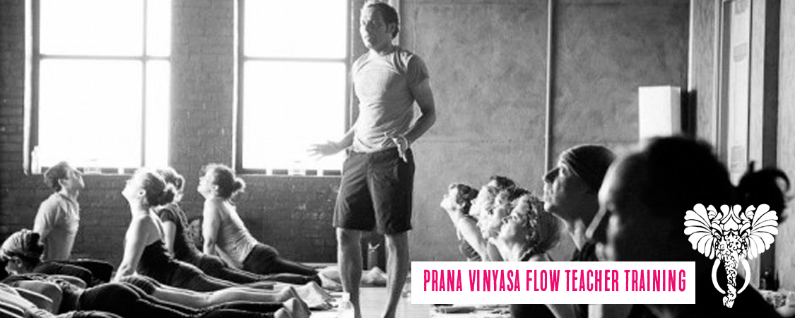 parna vinyasa banner copy